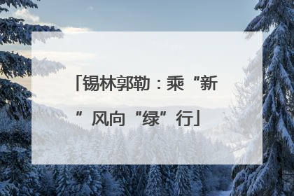 锡林郭勒：乘“新”风向“绿”行