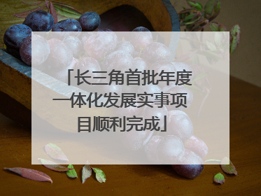 长三角首批年度一体化发展实事项目顺利完成