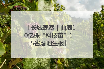 长城观察｜曲周10亿株“科技苗”15省落地生根