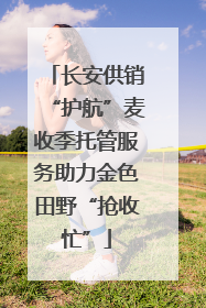 长安供销“护航”麦收季托管服务助力金色田野“抢收忙”