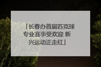 长春办首届匹克球专业赛事受欢迎 新兴运动正走红
