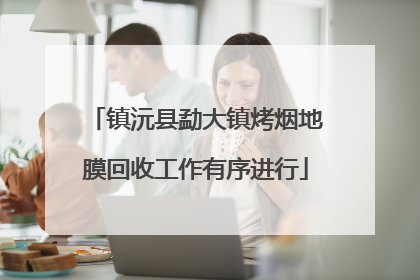 镇沅县勐大镇烤烟地膜回收工作有序进行