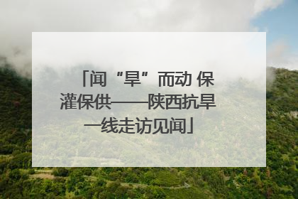 闻“旱”而动 保灌保供——陕西抗旱一线走访见闻