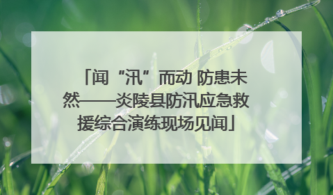 闻“汛”而动 防患未然——炎陵县防汛应急救援综合演练现场见闻