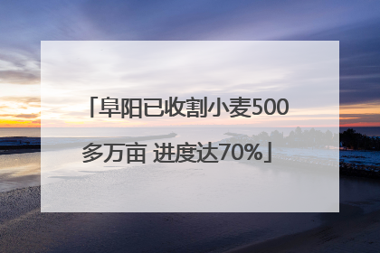 阜阳已收割小麦500多万亩 进度达70%