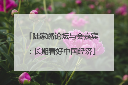 陆家嘴论坛与会嘉宾：长期看好中国经济