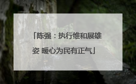 陈强：执行维和展雄姿 暖心为民有正气