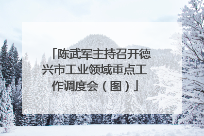 陈武军主持召开德兴市工业领域重点工作调度会（图）