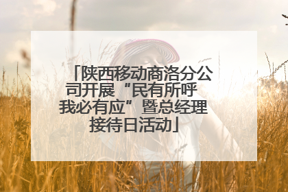 陕西移动商洛分公司开展“民有所呼 我必有应”暨总经理接待日活动