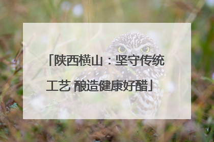 陕西横山：坚守传统工艺 酿造健康好醋