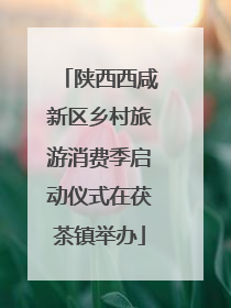 陕西西咸新区乡村旅游消费季启动仪式在茯茶镇举办