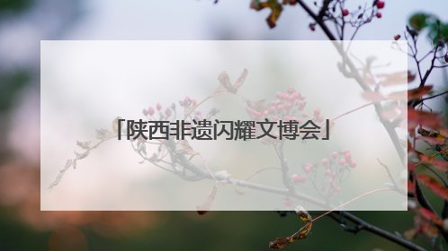 陕西非遗闪耀文博会