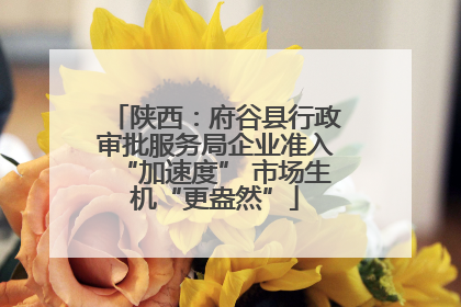 陕西：府谷县行政审批服务局企业准入“加速度” 市场生机“更盎然”