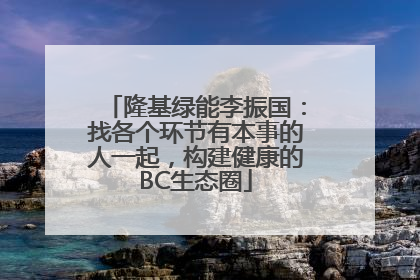 隆基绿能李振国：找各个环节有本事的人一起，构建健康的BC生态圈