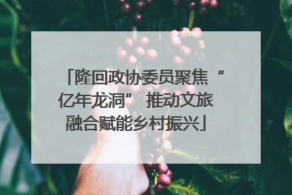 隆回政协委员聚焦“亿年龙洞” 推动文旅融合赋能乡村振兴