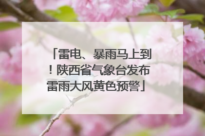雷电、暴雨马上到！陕西省气象台发布雷雨大风黄色预警