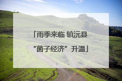 雨季来临 镇沅县“菌子经济”升温