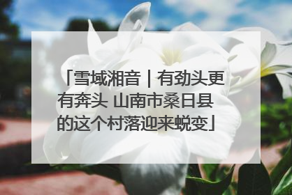 雪域湘音｜有劲头更有奔头 山南市桑日县的这个村落迎来蜕变