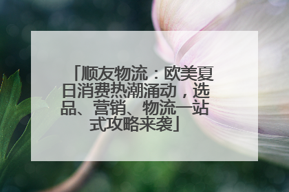 顺友物流：欧美夏日消费热潮涌动，选品、营销、物流一站式攻略来袭