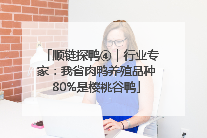 顺链探鸭④｜行业专家：我省肉鸭养殖品种80%是樱桃谷鸭