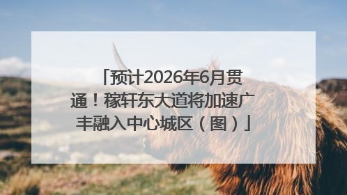 预计2026年6月贯通！稼轩东大道将加速广丰融入中心城区（图）