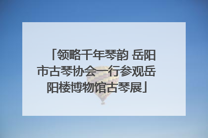 领略千年琴韵 岳阳市古琴协会一行参观岳阳楼博物馆古琴展
