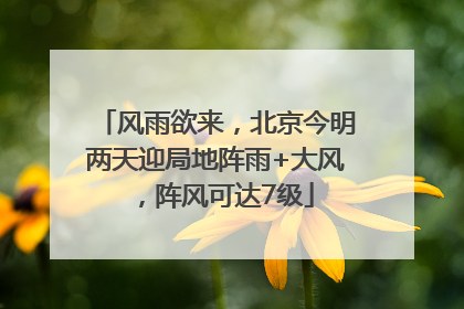 风雨欲来，北京今明两天迎局地阵雨+大风，阵风可达7级