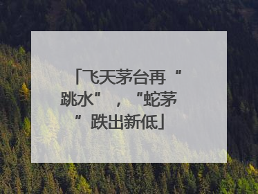 飞天茅台再“跳水”，“蛇茅”跌出新低