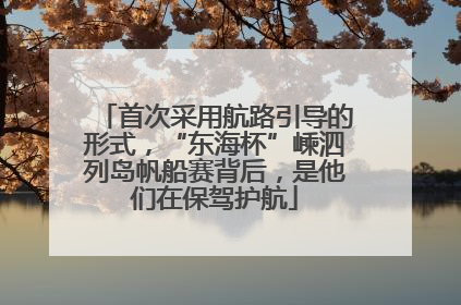 首次采用航路引导的形式，“东海杯”嵊泗列岛帆船赛背后，是他们在保驾护航