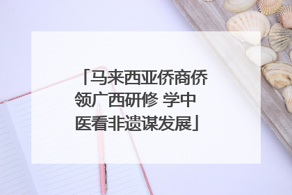马来西亚侨商侨领广西研修 学中医看非遗谋发展