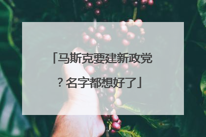 马斯克要建新政党？名字都想好了