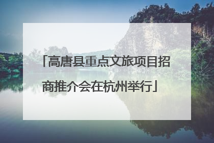 高唐县重点文旅项目招商推介会在杭州举行