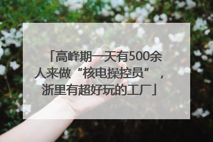高峰期一天有500余人来做“核电操控员”，浙里有超好玩的工厂