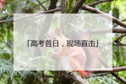 高考首日，现场直击