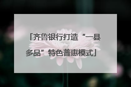 齐鲁银行打造“一县多品”特色普惠模式