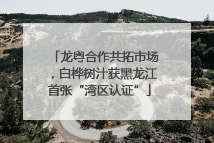 龙粤合作共拓市场，白桦树汁获黑龙江首张“湾区认证”