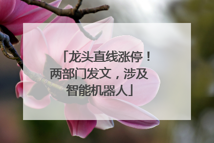 龙头直线涨停！两部门发文，涉及智能机器人