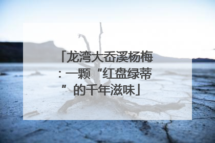 龙湾大岙溪杨梅：一颗“红盘绿蒂”的千年滋味