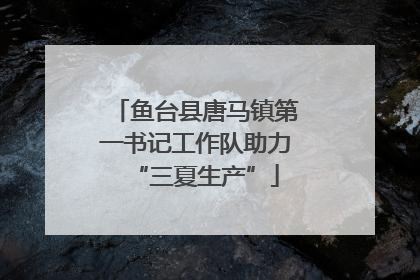 鱼台县唐马镇第一书记工作队助力“三夏生产”