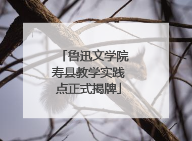 鲁迅文学院寿县教学实践点正式揭牌