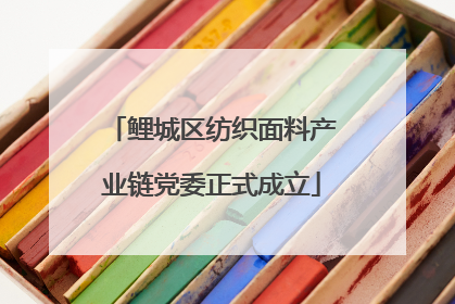鲤城区纺织面料产业链党委正式成立