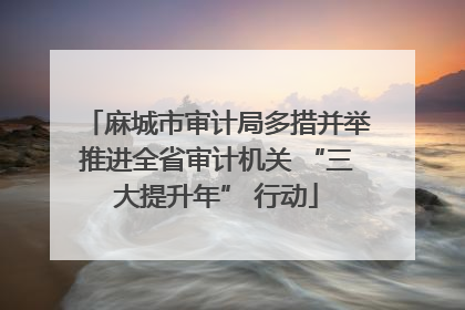 麻城市审计局多措并举推进全省审计机关 “三大提升年” 行动