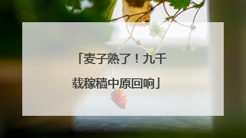 麦子熟了！九千载稼穑中原回响