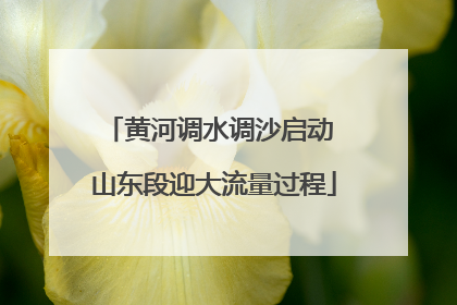 黄河调水调沙启动 山东段迎大流量过程
