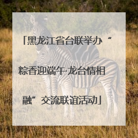 黑龙江省台联举办“粽香迎端午·龙台情相融”交流联谊活动