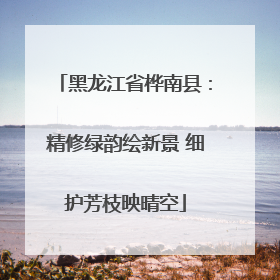 黑龙江省桦南县：精修绿韵绘新景 细护芳枝映晴空
