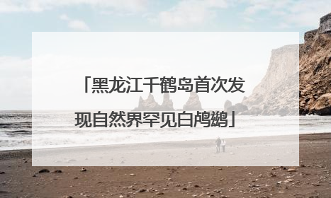 黑龙江千鹤岛首次发现自然界罕见白鸬鹚