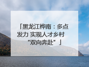 黑龙江桦南：多点发力 实现人才乡村“双向奔赴”