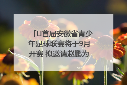 ﻿首届安徽省青少年足球联赛将于9月开赛 拟邀请赵鹏为先导赛开球