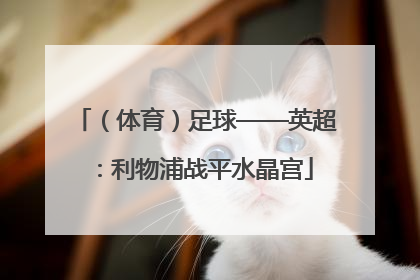 （体育）足球——英超：利物浦战平水晶宫